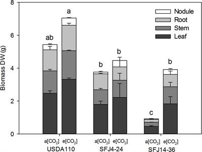 Soybean Inoculated With One Bradyrhizobium Strain Isolated at Elevated [CO2] Show an Impaired C and N Metabolism When Grown at Ambient [CO2]